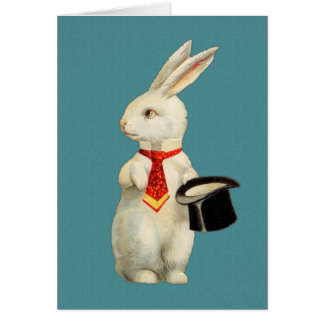 Lapin blanc vintage