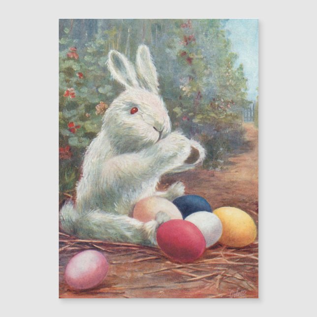 Lapin blanc Vintage doux avec oeufs de Pâques (Devant)