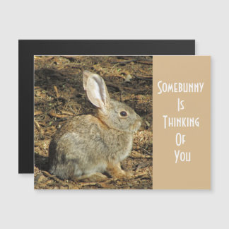 Lapin Brun Adorable Pun Pensant À Vous