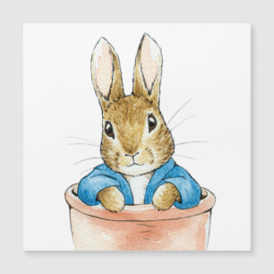 Lapin Classique dans un Pot de Fleurs