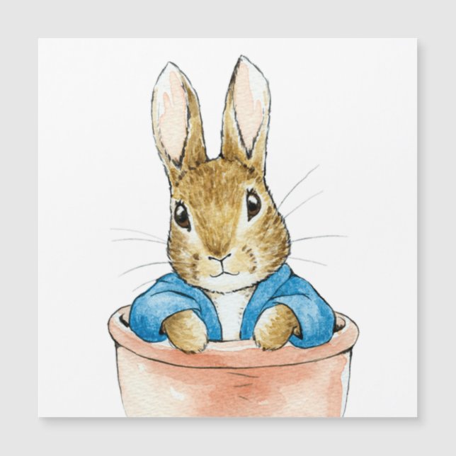 Lapin Classique dans un Pot de Fleurs (Devant)