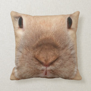 lapin coussin