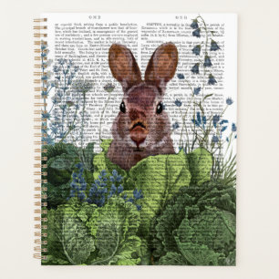 Lapin dans une patte de chou