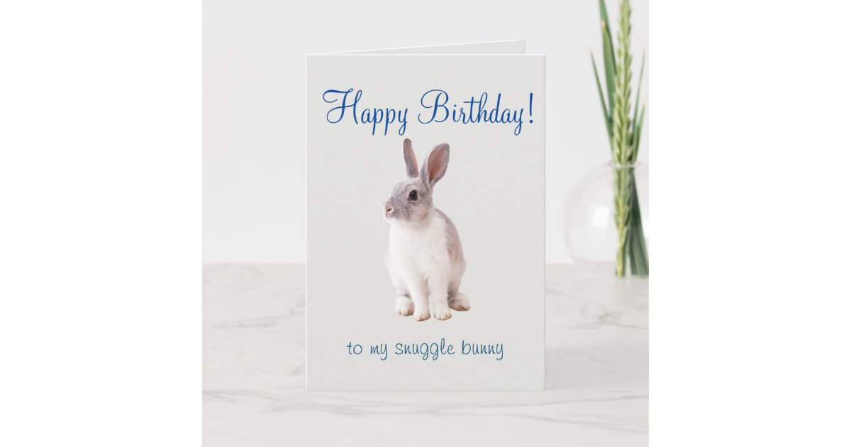 Lapin De Calin De Carte De Joyeux Anniversaire Zazzle Fr Lapin De Calin De Carte De Joyeux Anniversaire Zazzle Fr