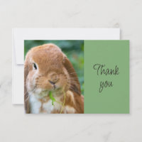 Lapin de compagnie drôle et mignon Merci