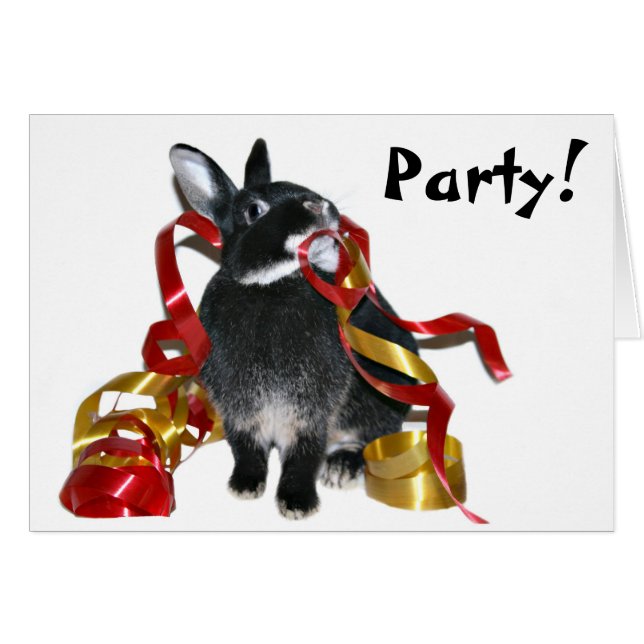 Lapin de la fête (Devant horizontal)