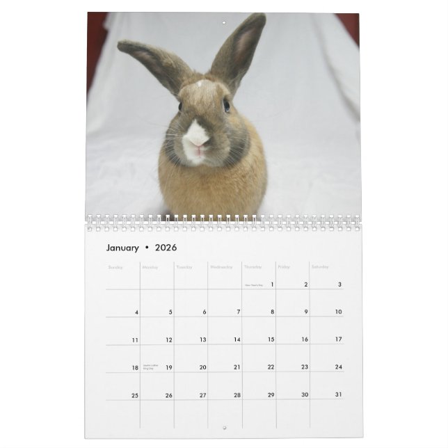 Lapin de MHRR Honeybadger calendrier de 12 mois (Jan 2026)