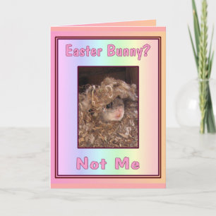 Lapin de Pâques ? Carte