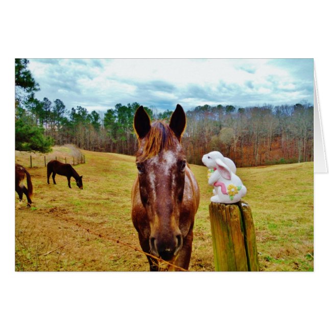 Lapin de Pâques et cheval Brown (Devant horizontal)