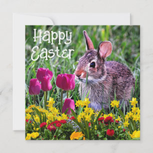 Lapin de Pâques Fleur de Printemps Carte de Vacanc
