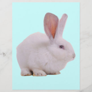 Lapin de Pâques Mignon Kawaii