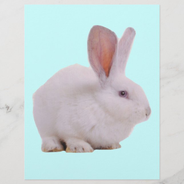 Lapin de Pâques Mignon Kawaii (Devant)