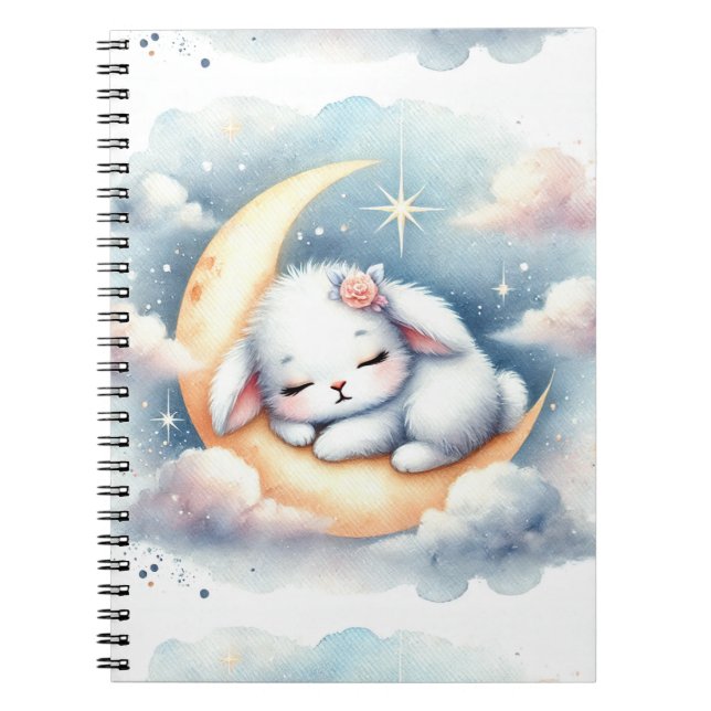 Lapin dormant sur le Carnet de la Lune (Devant)