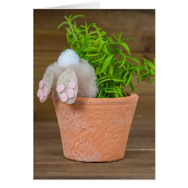 Lapin en pot de fleurs (Devant)