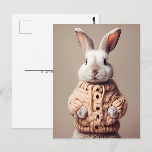 Lapin en pull, carte postale Postcrossing (Devant / Derrière)