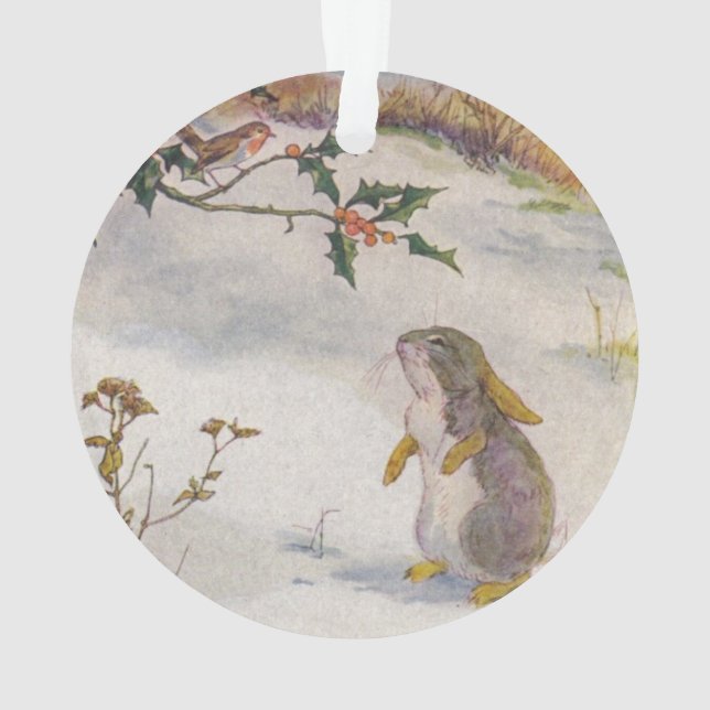 Lapin et image de cru de Robin (dos)