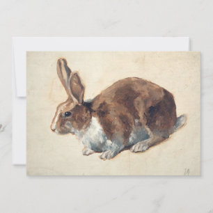 Lapin   Floris Verster