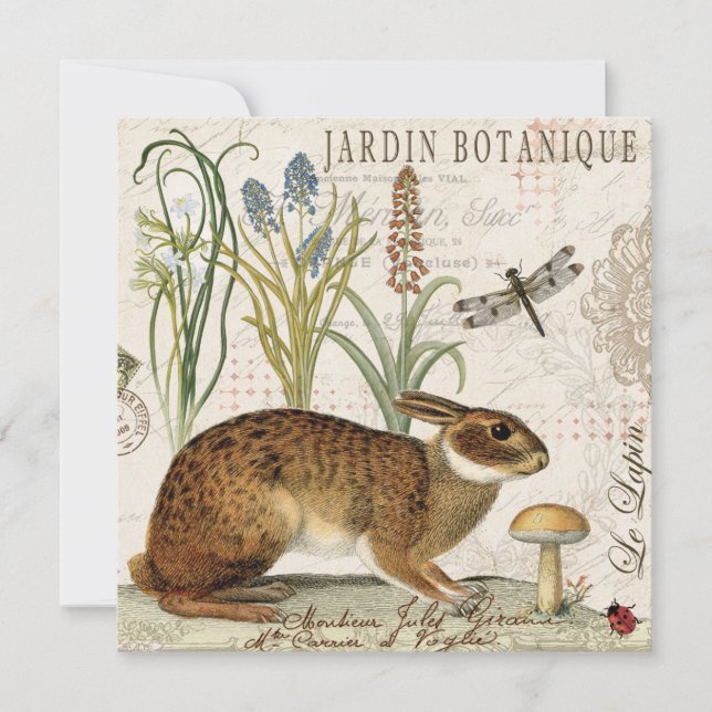 lapin français vintage moderne dans le jardin (Devant)