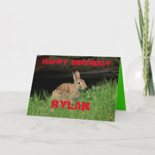Lapin lapin abattu Closeudo avec l'herbe Carte de