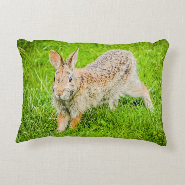 Lapin Lapin Faune Vert Nature Accent Coussin (Dos)