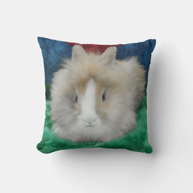 Lapin Lapin Lapin Lionhead Fluffé Lance Oreiller (Recto)