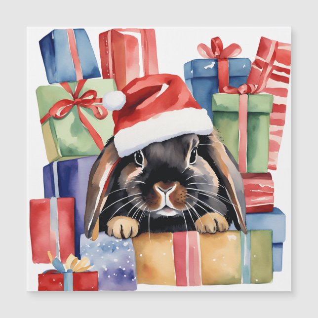 Lapin Lapin Lapin Lop Noël (Devant)