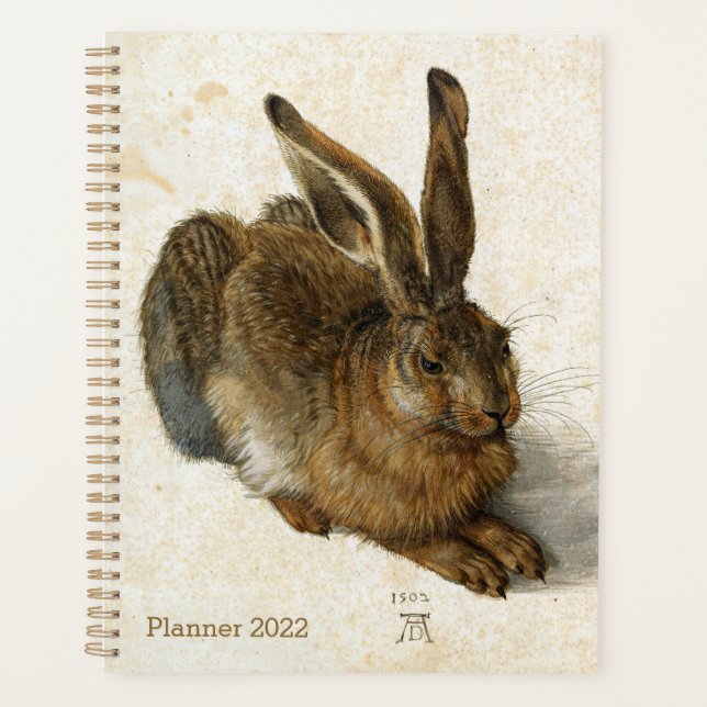 Lapin, Lièvre de Durer Vintage Nature Art, 1502 (Devant)