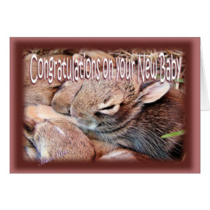 Lapin-newbaby-personnaliser