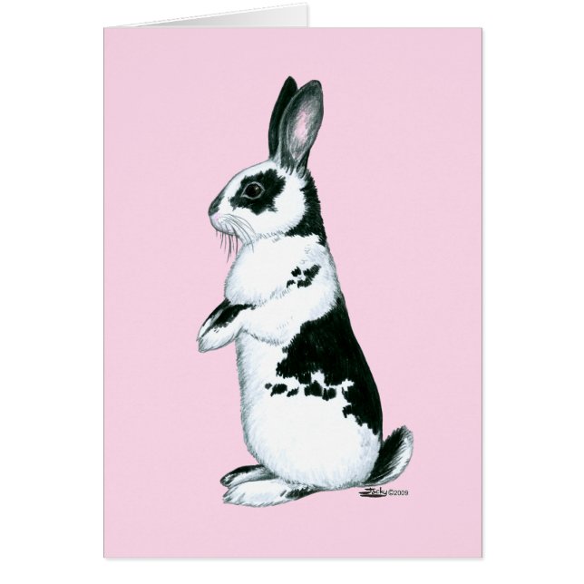 Lapin : Noir et Blanc (Devant)