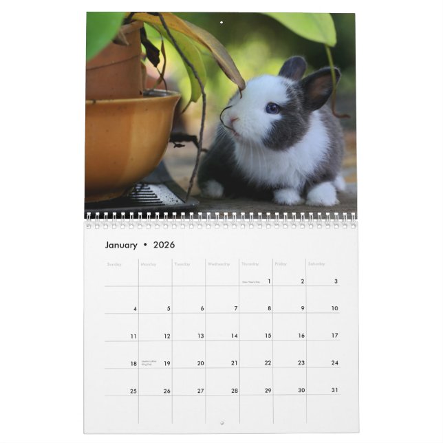 Lapins de lapin doux 2024 Calendrier (Jan 2026)