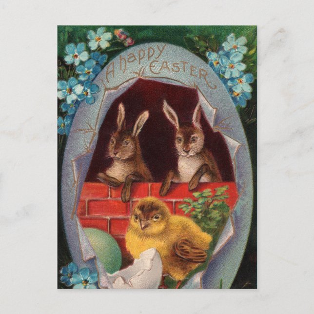 Lapins de Pâques et Carte Postale Ancienne Poussin (Devant)
