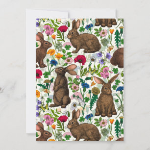 Lapins et fleur sauvage