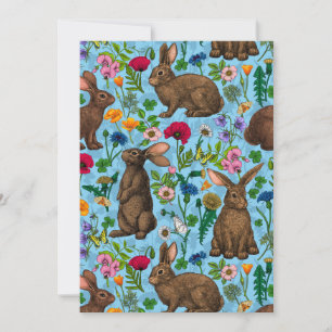 Lapins et fleur sauvage