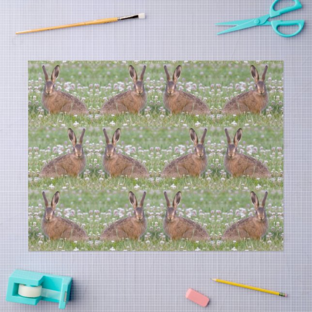 Lapins sauvages assis dans du papier de soie au tr (Artisanat)