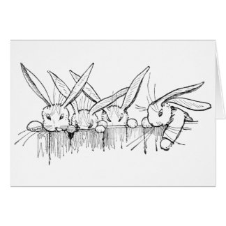 Lapins scrutant au-dessus de la barrière