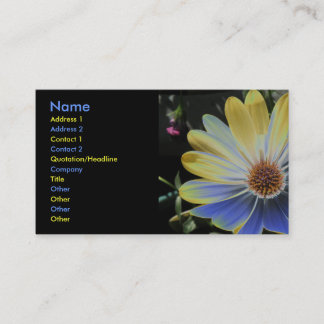 Lapis Daisy africain et Carte de visite Gold Custo