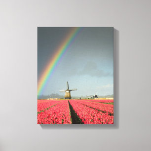 L'arc-en-ciel, les tulipes et la toile verticale