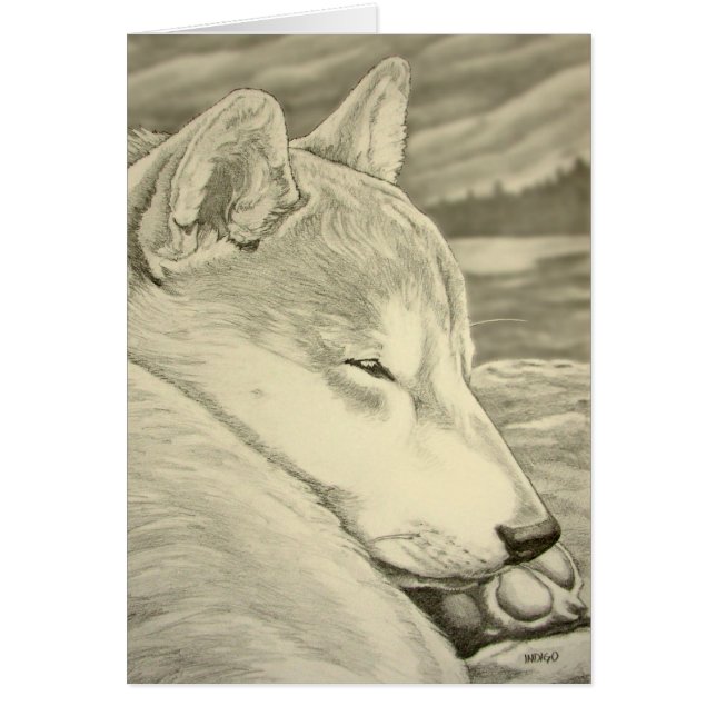 L'art de chien de Shiba Inu carde les cartes (Devant)