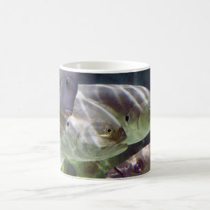 L'art de poissons Morph la tasse