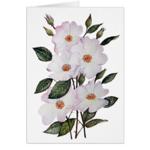 L'art floral Rose Ballerina