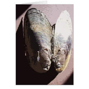 L'art papillon en coquille