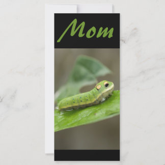 Larva de la chenille papillon