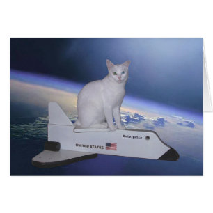L'astronaute Chat (Esprit) sur navette spatiale