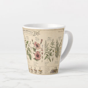 Latte Tasse d'herbes botaniques –