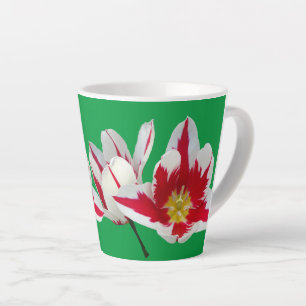 Latte Tulipes rouges et blanches gros plan sur une tasse