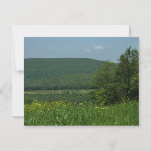 Laurel Highlands Pennsylvania Summer Photography