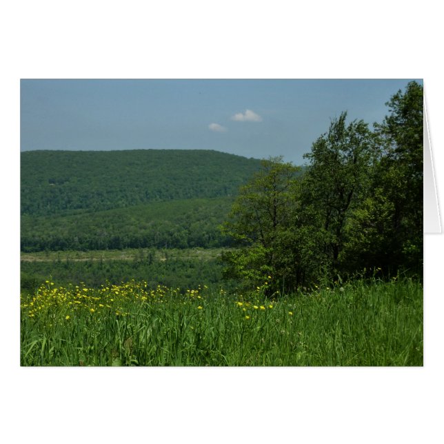 Laurel Highlands Pennsylvanie Photographie d'été (Devant horizontal)