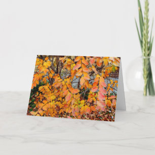 L'automne coloré laisse une bonne carte de voeux a