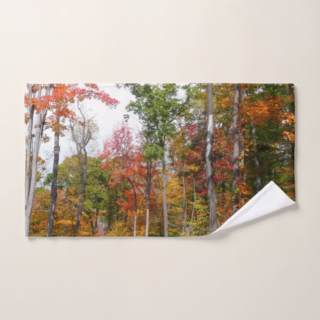 L'automne dans la forêt Photographie d'automne col (Serviette à main)