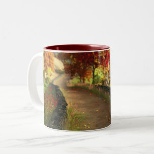 L'automne dans le Glen Mug